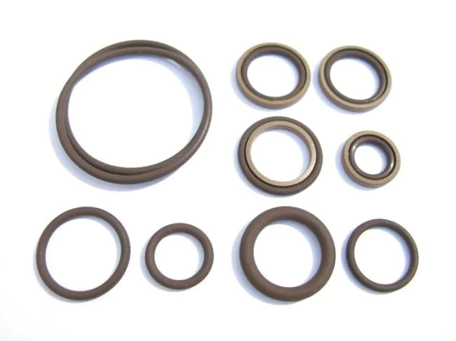 Beisan Systems [BS021] BMW S54 Engine Vanos System Replacement Seal Kit